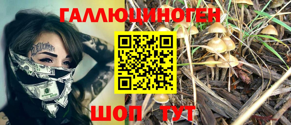 Галлюциногенные грибы GOLDEN TEACHER  Вход с VPN  Лесозаводск 
